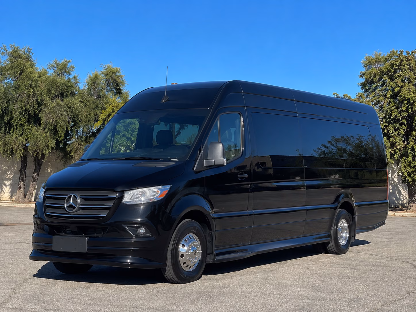 edison 10 passenger sprinter van