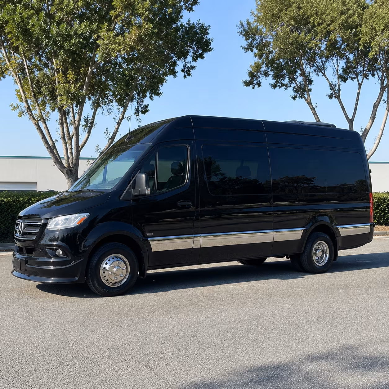 edison 8 passenger sprinter van