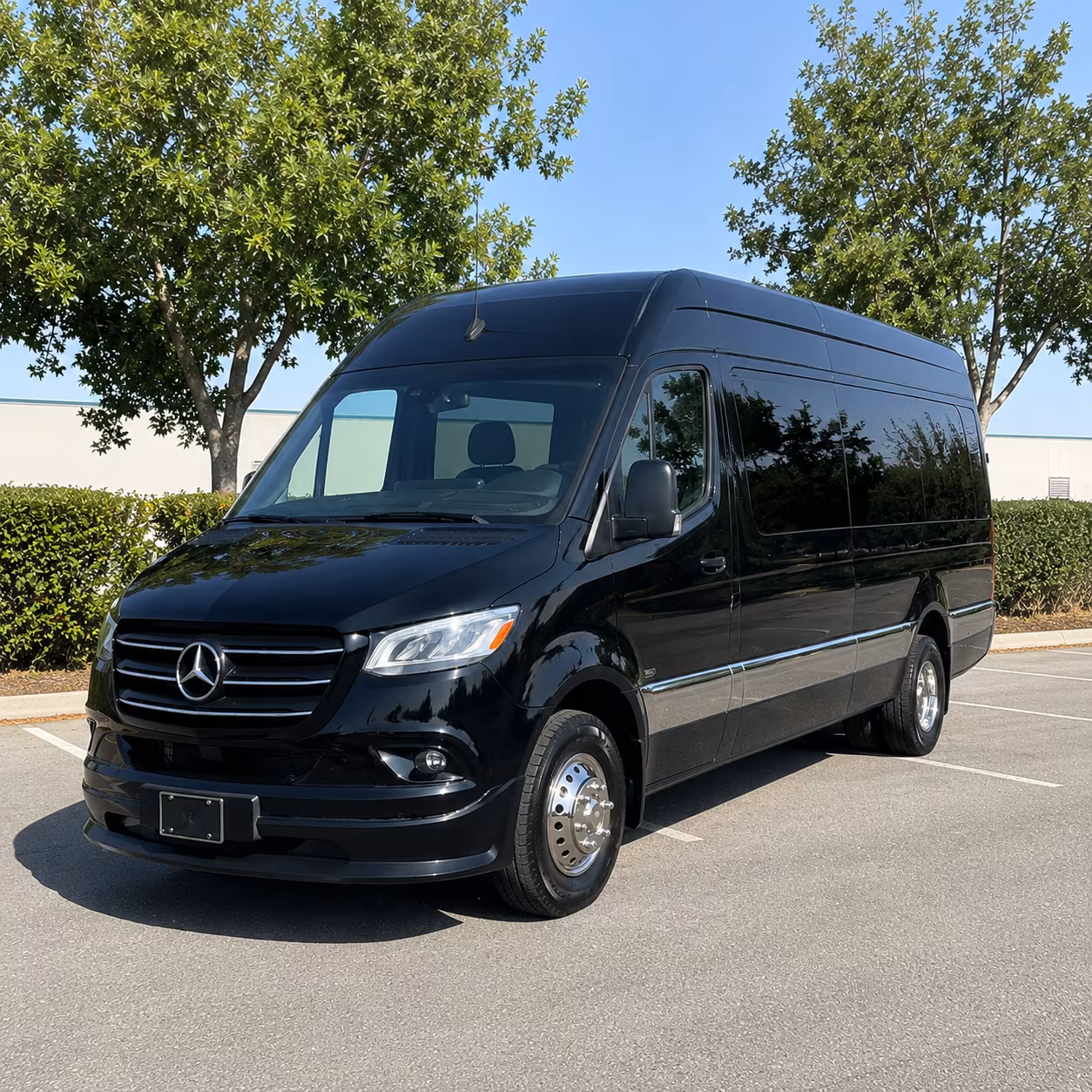 find the perfect transportation for your next birthday 3